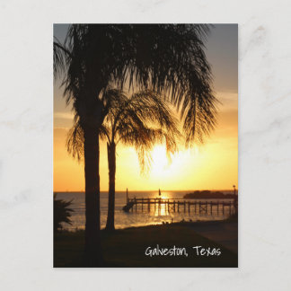 Palm Tree Sunset Postkarte