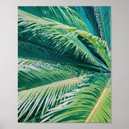 Palm Tree Tropical Beach Fotografie Print Poster