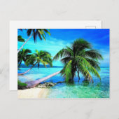 Palm Tree Tropical Island Beach Postkarte (Vorne/Hinten)