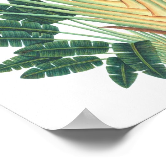 Palm Tree Tropical Pflanze Poster #1 Beach Deco (Ecke)