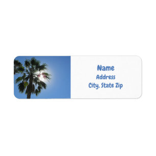 Palm Tree Tropical Sunshine Island Paradise