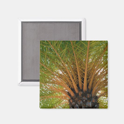 Palm Tree Underside Magnet (Vorderseite/Rückseite)