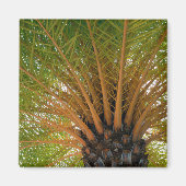 Palm Tree Underside Magnet (Vorne)