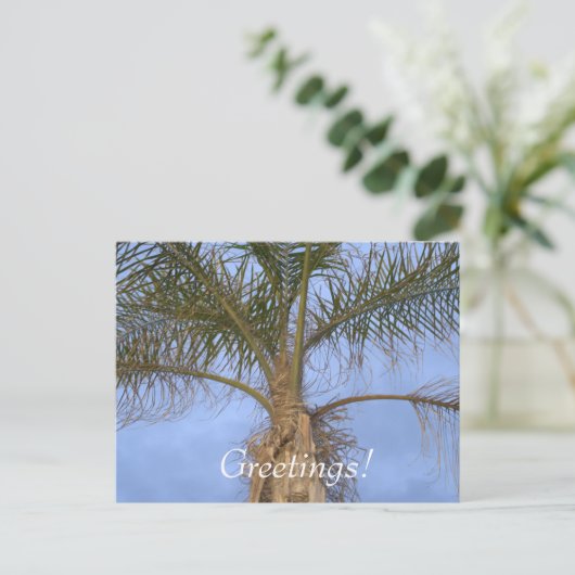 Palm Tree Vacation Grüße Postkarte (Stehend Vorderseite)