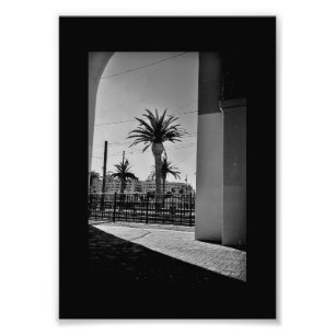 Palm Tree View Fotodruck