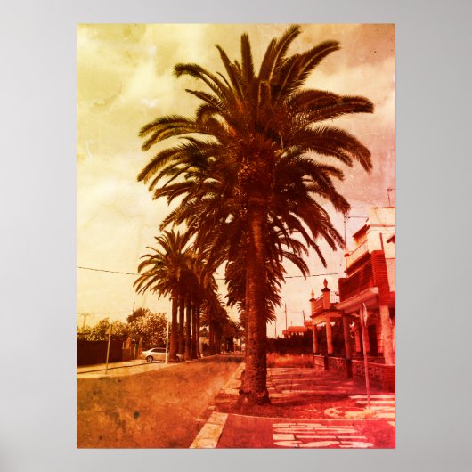 Palm Tree Vintag Style Poster (Vorne)