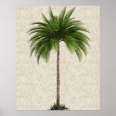 Palm Tree Vintag Tropical Elegante Poster (Vorne)