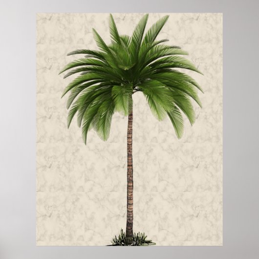 Palm Tree Vintag Tropical Elegante Poster (Vorne)