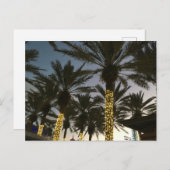 Palm Tree Weihnachtsbeleuchtung Feiertagspostkarte (Vorne/Hinten)