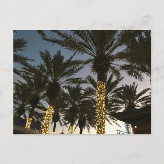 Palm Tree Weihnachtsbeleuchtung Feiertagspostkarte (Vorderseite)