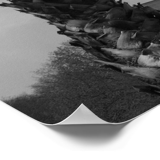 Palm Trees and Obelisk, Boulogne-sur-Mer, Frankrei Poster (Ecke)