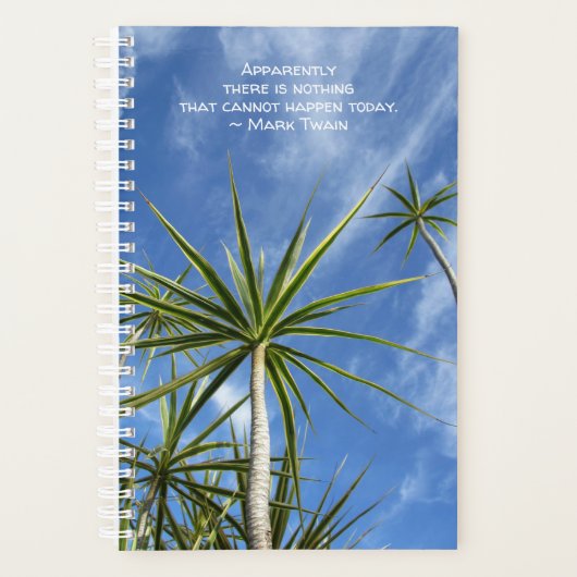 Palm Trees auf dem Weg zu Blue Sky Planer (Vorderseite)