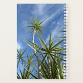 Palm Trees auf dem Weg zu Blue Sky Planer (Rückseite)