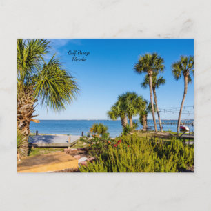 Palm Trees Bayside Morning Postkarte