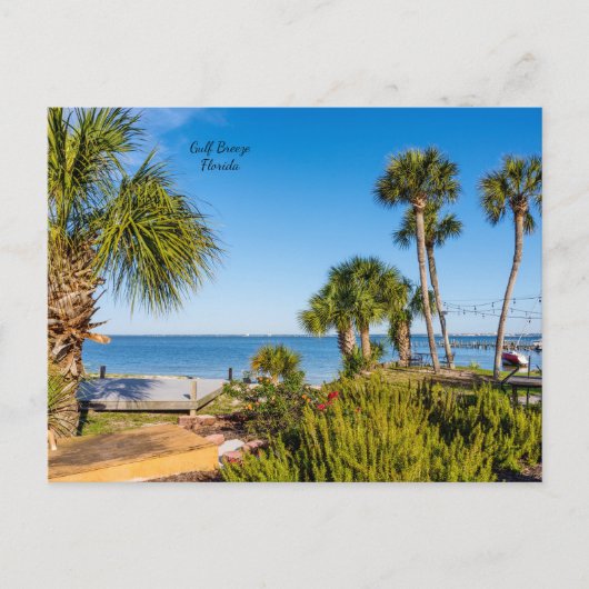 Palm Trees Bayside Morning Postkarte (Vorderseite)
