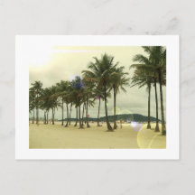 Palm Trees Beach Postcard