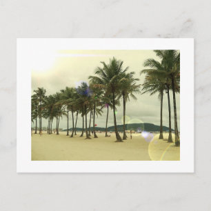 Palm Trees Beach Postcard Postkarte