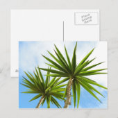 Palm Trees Card Postkarte (Vorne/Hinten)
