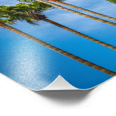 Palm Trees in San Diego, California Fotodruck (Ecke)