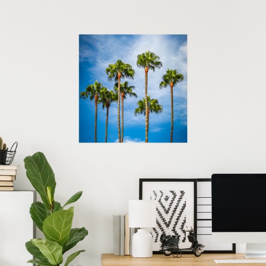 Palm Trees in San Diego, California Poster (Heimbüro)