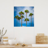 Palm Trees in San Diego, California Poster (Küche)