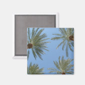 Palm Trees Magnet (Vorderseite/Rückseite)