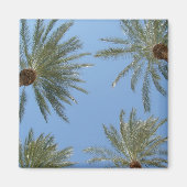 Palm Trees Magnet (Vorne)