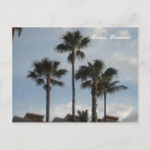 Palm Trees Maui Hawaii Postkarte (Vorderseite)