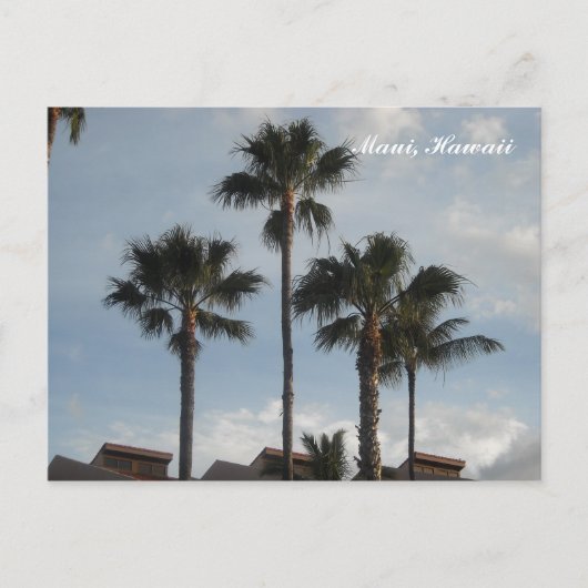 Palm Trees Maui Hawaii Postkarte (Vorderseite)