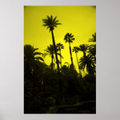 Palm Trees of Morocco Poster (Vorne)