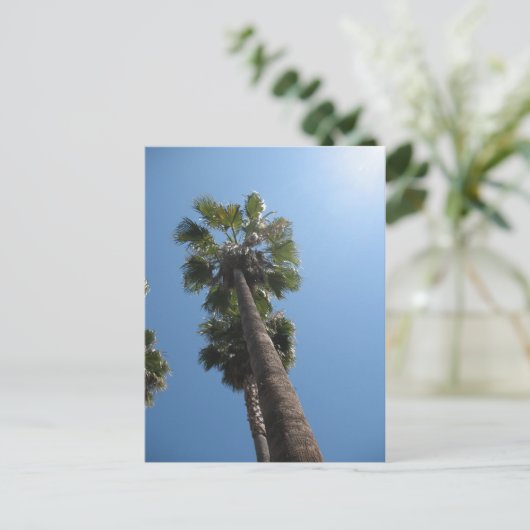 Palm Trees Post Card Postkarte (Stehend Vorderseite)