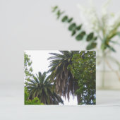 Palm Trees Postcard Postkarte (Stehend Vorderseite)