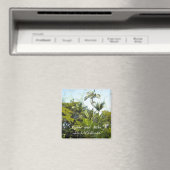 Palm Trees speichern das Datumsfenster Magnet (In Situ (Geschirrspüler))