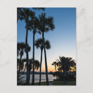 Palm Trees Sunrise Destin Florida Postcard Postkarte