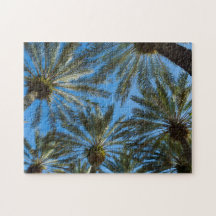 Palm Trees Umbrella