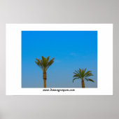Palm Trees und Blue Sky Poster (Vorne)