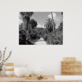 Palm Trees verbide Poster (Küche)