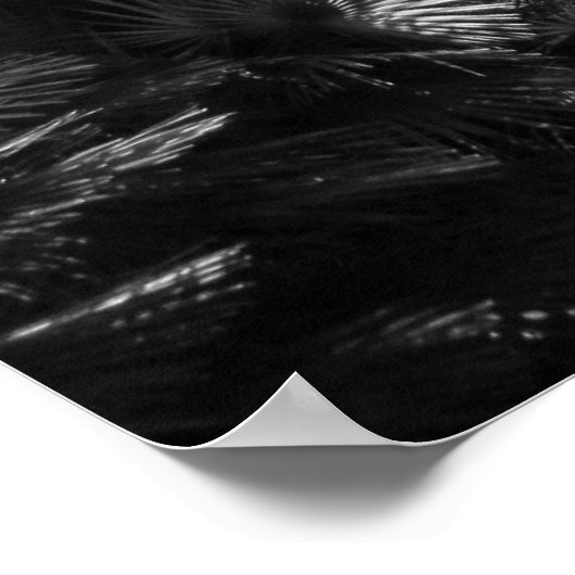 Palm Trees verbide Poster (Ecke)