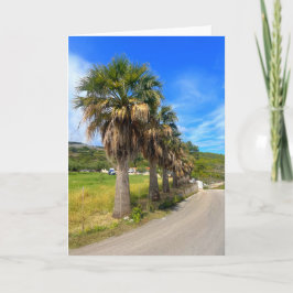 Palm Trees Zakynthos Griechenland Karte