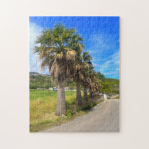 Palm Trees Zakynthos Griechenland