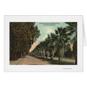 Palm und Pepper Trees entlang der Avenue