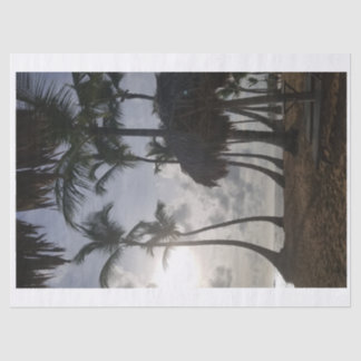 Palm und Strand 2 Papiertaschentuch Seidenpapier