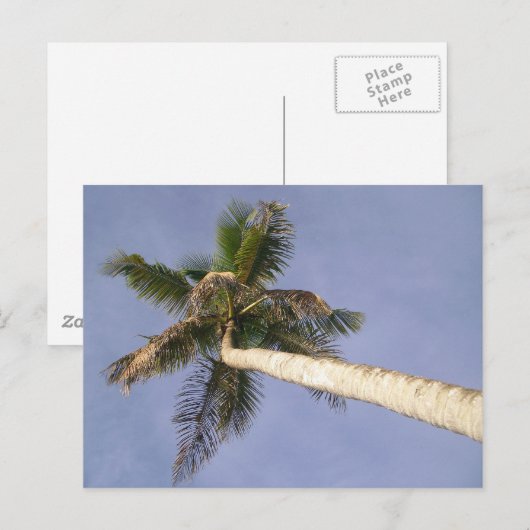 Palm View Postkarte (Vorne/Hinten)