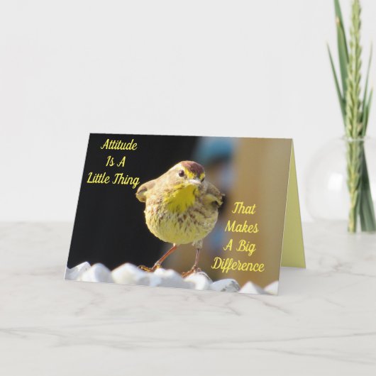Palm Warbler Backyard Bird Personalisiert Karte (Vorderseite)