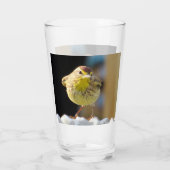 Palm Warbler - Backyard Bird Series - Glas (Rückseite)