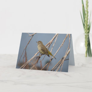 Palm Warbler - Grußkarte für den Backyard Bird Karte