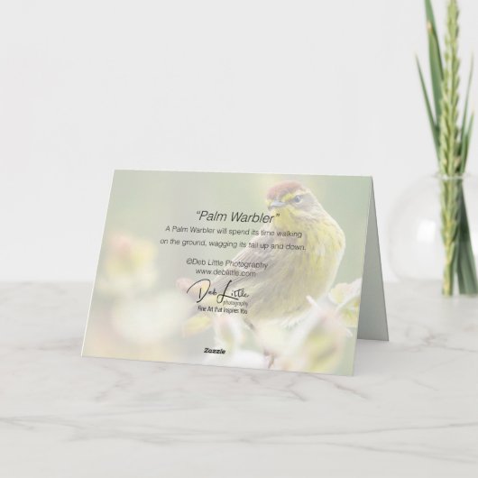 Palm Warbler Karte (Rückseite)