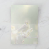 Palm Warbler Karte (Innenseite)