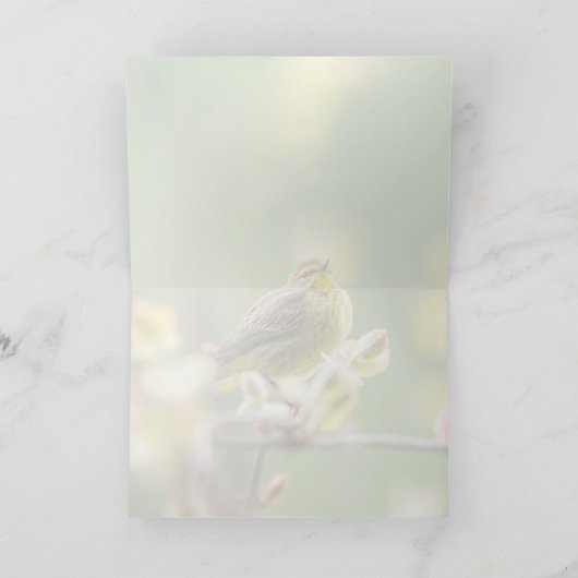 Palm Warbler Karte (Innenseite)