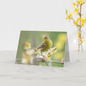 Palm Warbler Karte (Gelbe Blume)